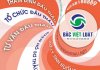 Dịch vụ thẩm định hồ sơ mời thầu, hồ sơ yêu cầu