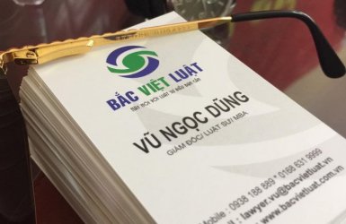 Dịch vụ Tổ chức đấu thầu cho dự án