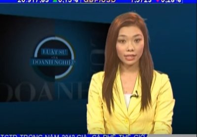 Luật sư Vũ Ngọc Dũng - Chương trình truyền hình Chuyển giá trong DN FDI - Luật sư và Doanh nghiệp