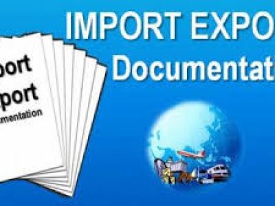 Giấy phép nhập khẩu tự động của Luật Bắc Việt cung cấp