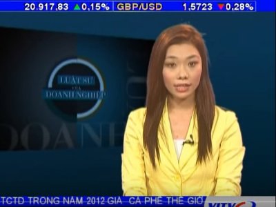 Luật sư Vũ Ngọc Dũng - Chương trình truyền hình Chuyển giá trong DN FDI - Luật sư và Doanh nghiệp