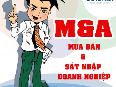 Tư vấn thu xếp vốn ngân hàng cho dự án.