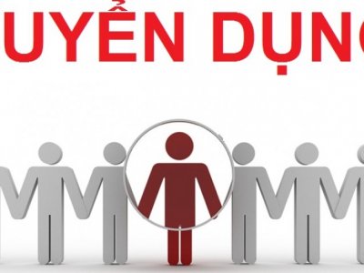 Tuyển biên tập viên cho Hãng Luật: Bắc Việt Luật