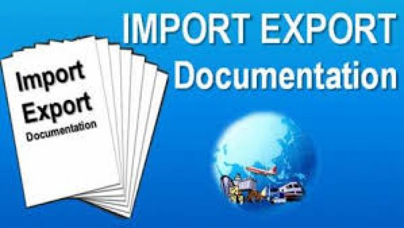 Giấy phép nhập khẩu tự động của Luật Bắc Việt cung cấp