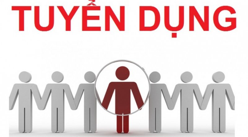 Tuyển biên tập viên cho Hãng Luật: Bắc Việt Luật